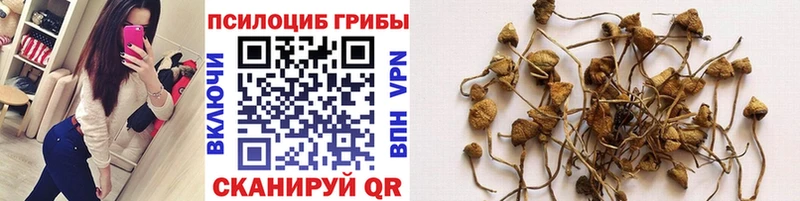 дарк нет как зайти  Краснослободск  Галлюциногенные грибы ЛСД 